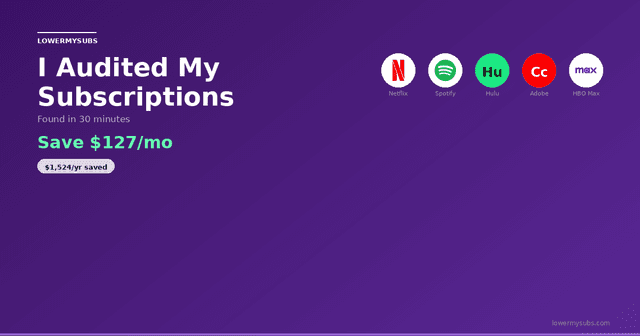 Netflix, Spotify, Hulu, and Adobe logos — subscription audit results